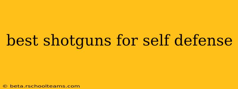 best shotguns for self defense