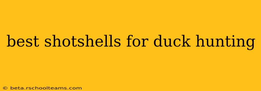 best shotshells for duck hunting