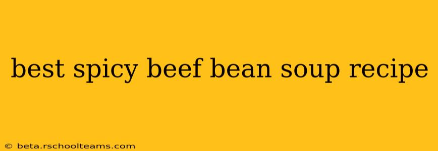 best spicy beef bean soup recipe