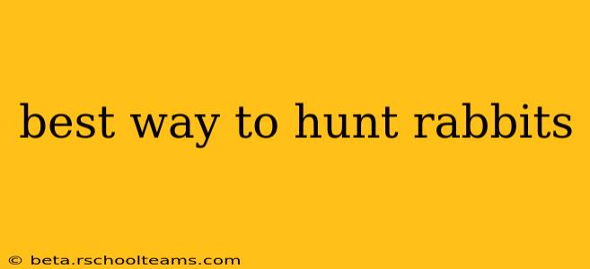best way to hunt rabbits