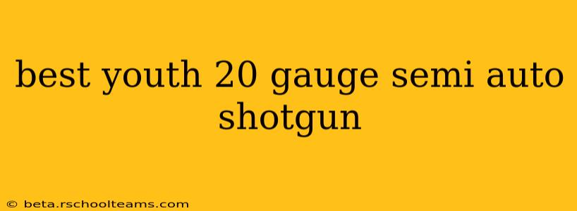 best youth 20 gauge semi auto shotgun