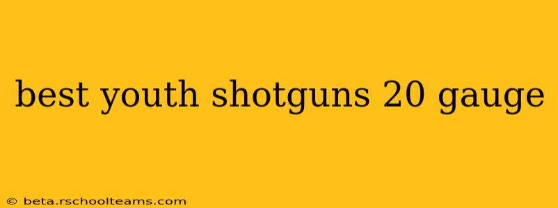 best youth shotguns 20 gauge