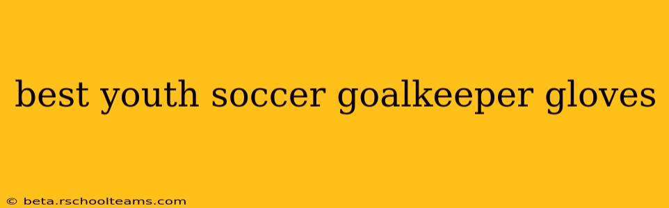 best youth soccer goalkeeper gloves