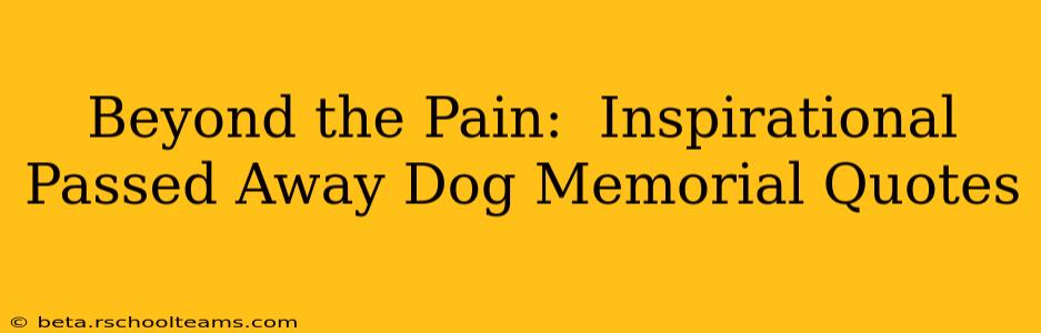 Beyond the Pain:  Inspirational Passed Away Dog Memorial Quotes