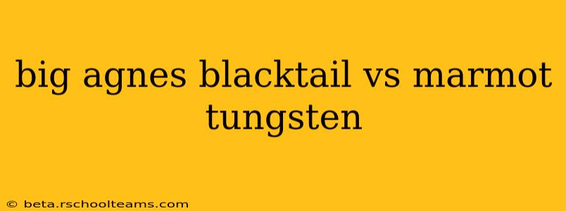 big agnes blacktail vs marmot tungsten