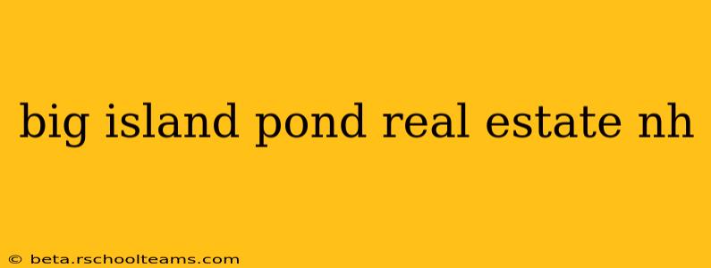 big island pond real estate nh