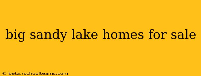 big sandy lake homes for sale