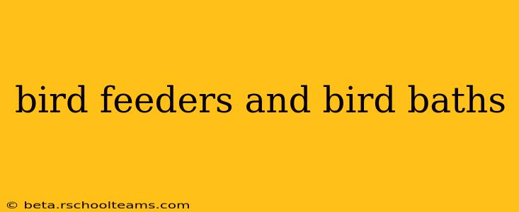 bird feeders and bird baths
