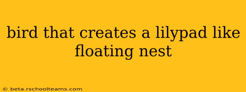 bird that creates a lilypad like floating nest
