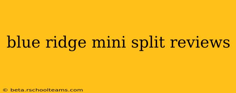 blue ridge mini split reviews