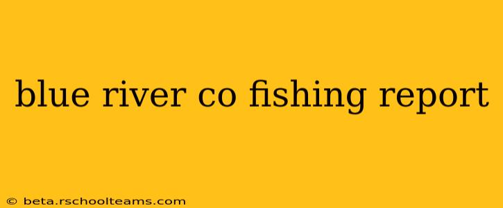 blue river co fishing report