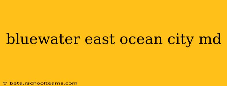 bluewater east ocean city md