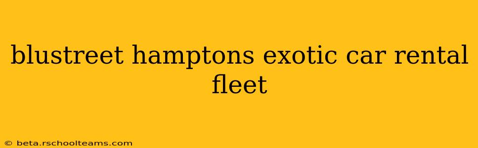 blustreet hamptons exotic car rental fleet