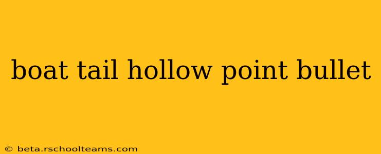 boat tail hollow point bullet