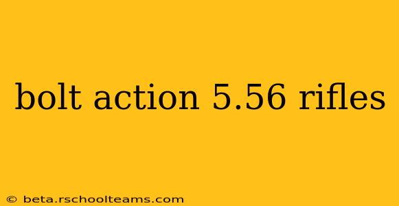 bolt action 5.56 rifles