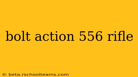 bolt action 556 rifle