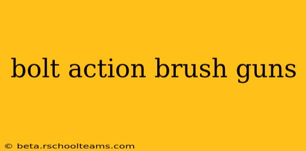 bolt action brush guns