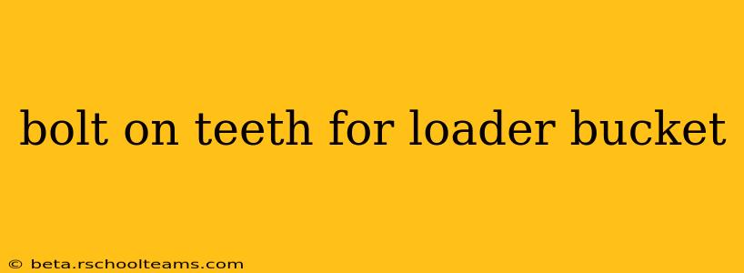 bolt on teeth for loader bucket