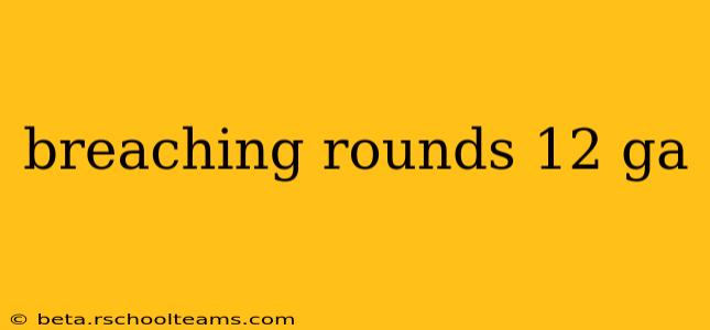 breaching rounds 12 ga