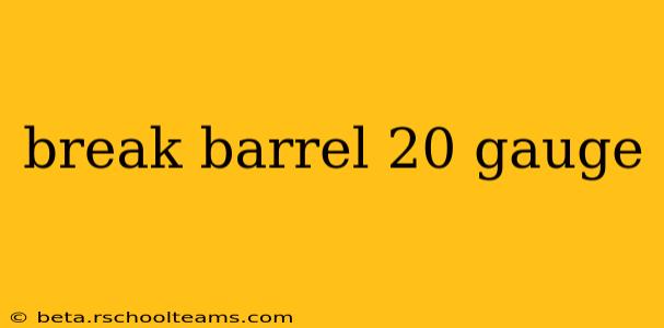 break barrel 20 gauge