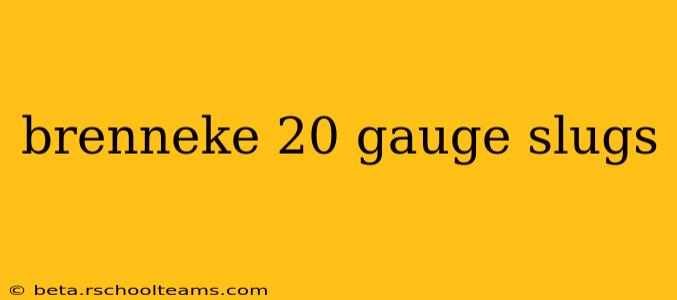 brenneke 20 gauge slugs