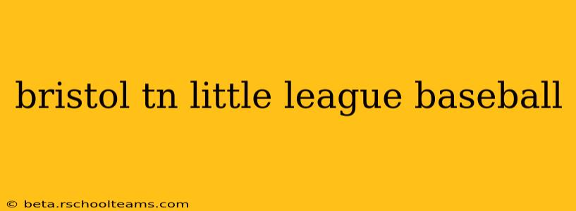 bristol tn little league baseball
