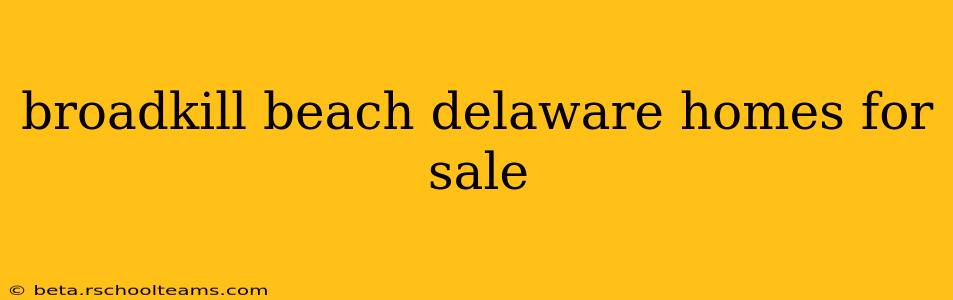 broadkill beach delaware homes for sale