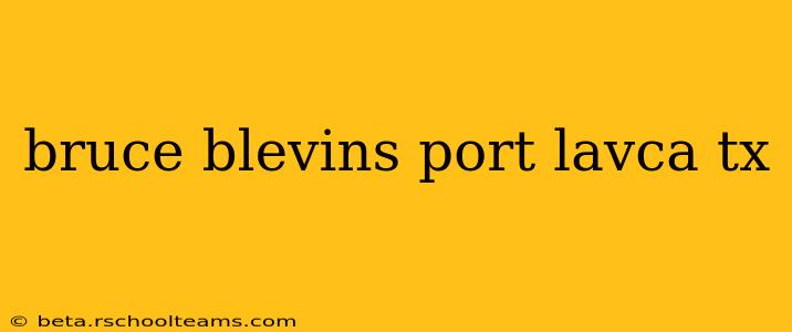 bruce blevins port lavca tx