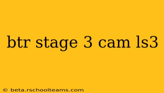 btr stage 3 cam ls3