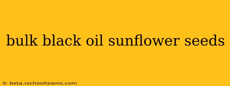 bulk black oil sunflower seeds