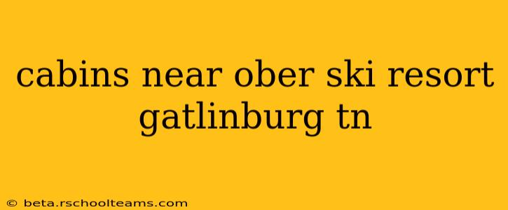 cabins near ober ski resort gatlinburg tn