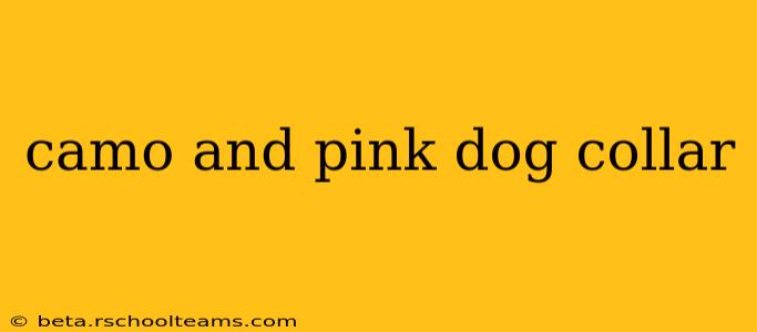 camo and pink dog collar