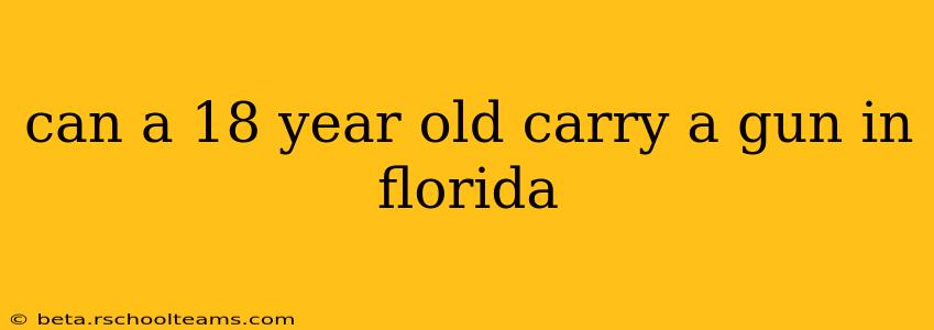 can a 18 year old carry a gun in florida