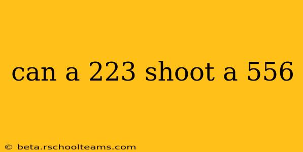 can a 223 shoot a 556