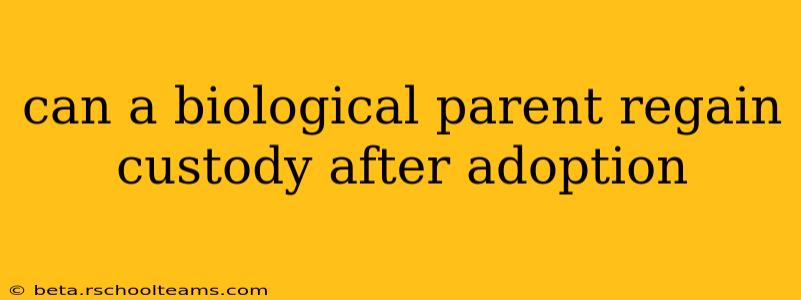 can a biological parent regain custody after adoption