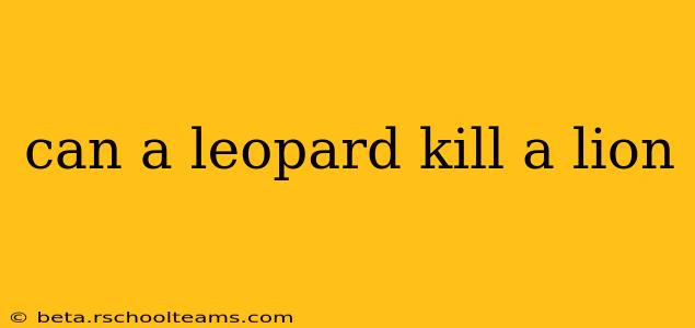 can a leopard kill a lion
