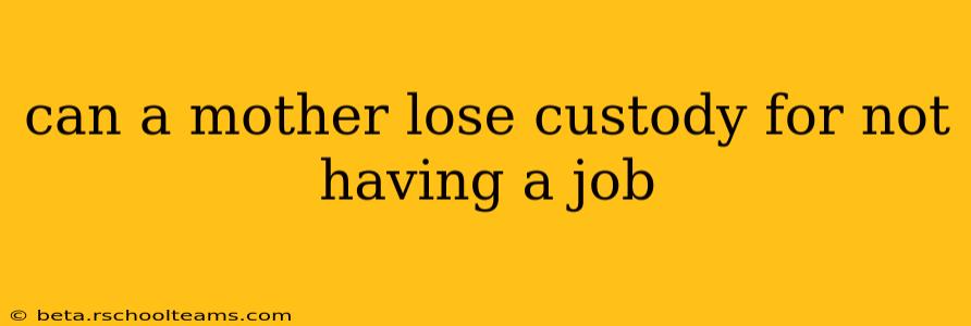 can a mother lose custody for not having a job