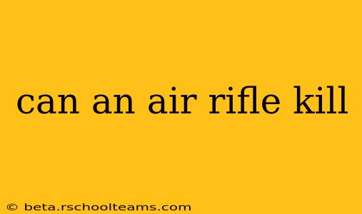 can an air rifle kill