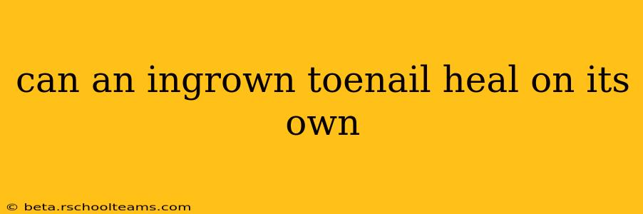 can an ingrown toenail heal on its own