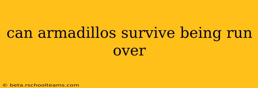 can armadillos survive being run over