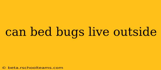 can bed bugs live outside