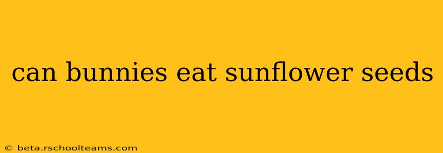 can bunnies eat sunflower seeds
