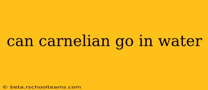 can carnelian go in water
