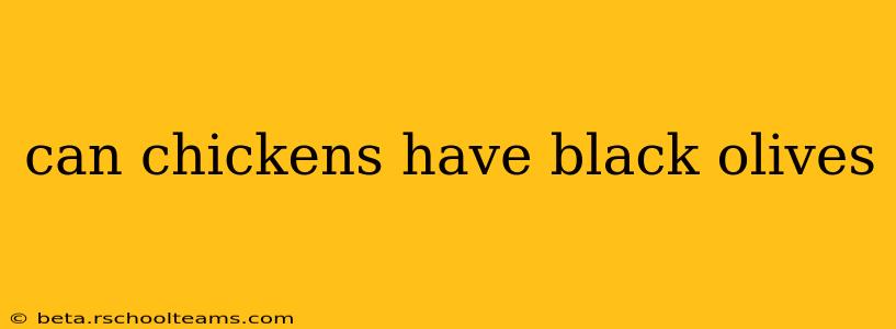 can chickens have black olives