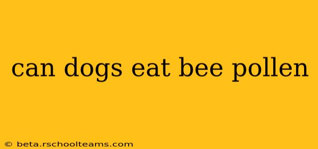 can dogs eat bee pollen
