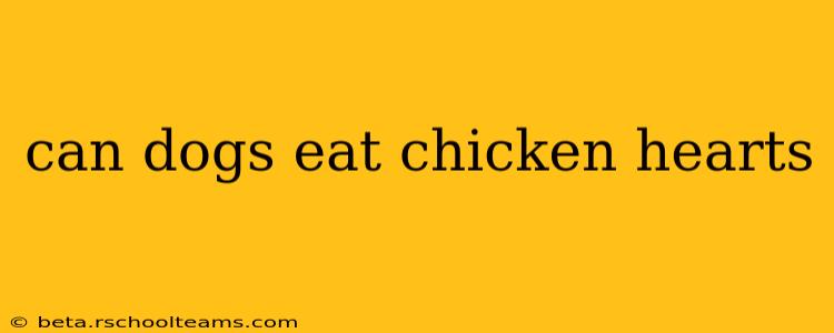 can dogs eat chicken hearts