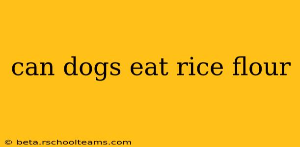 can dogs eat rice flour