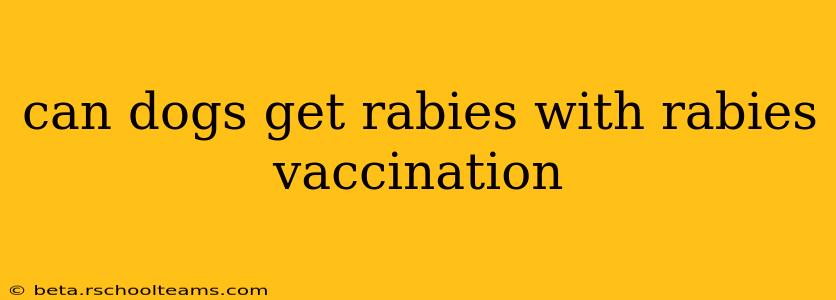 can dogs get rabies with rabies vaccination