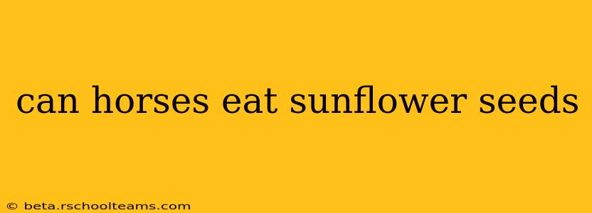 can horses eat sunflower seeds
