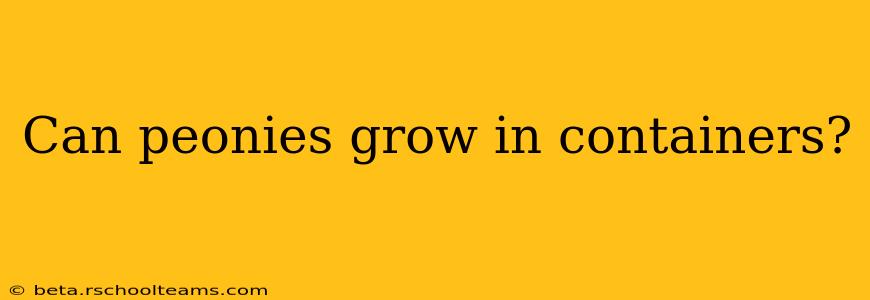 Can peonies grow in containers?